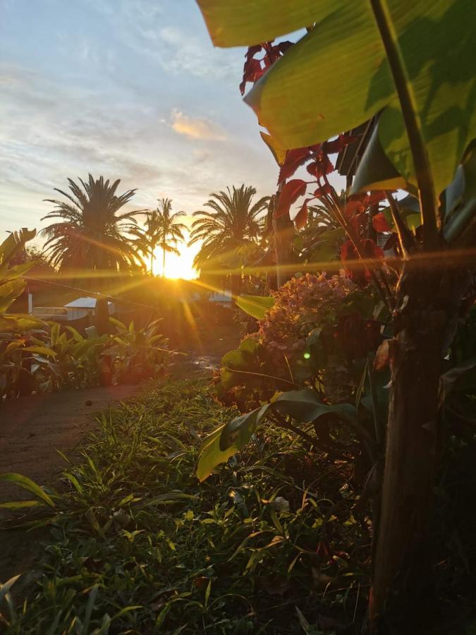 Hostal Tu'U Koihu Hanga Roa Dış mekan fotoğraf