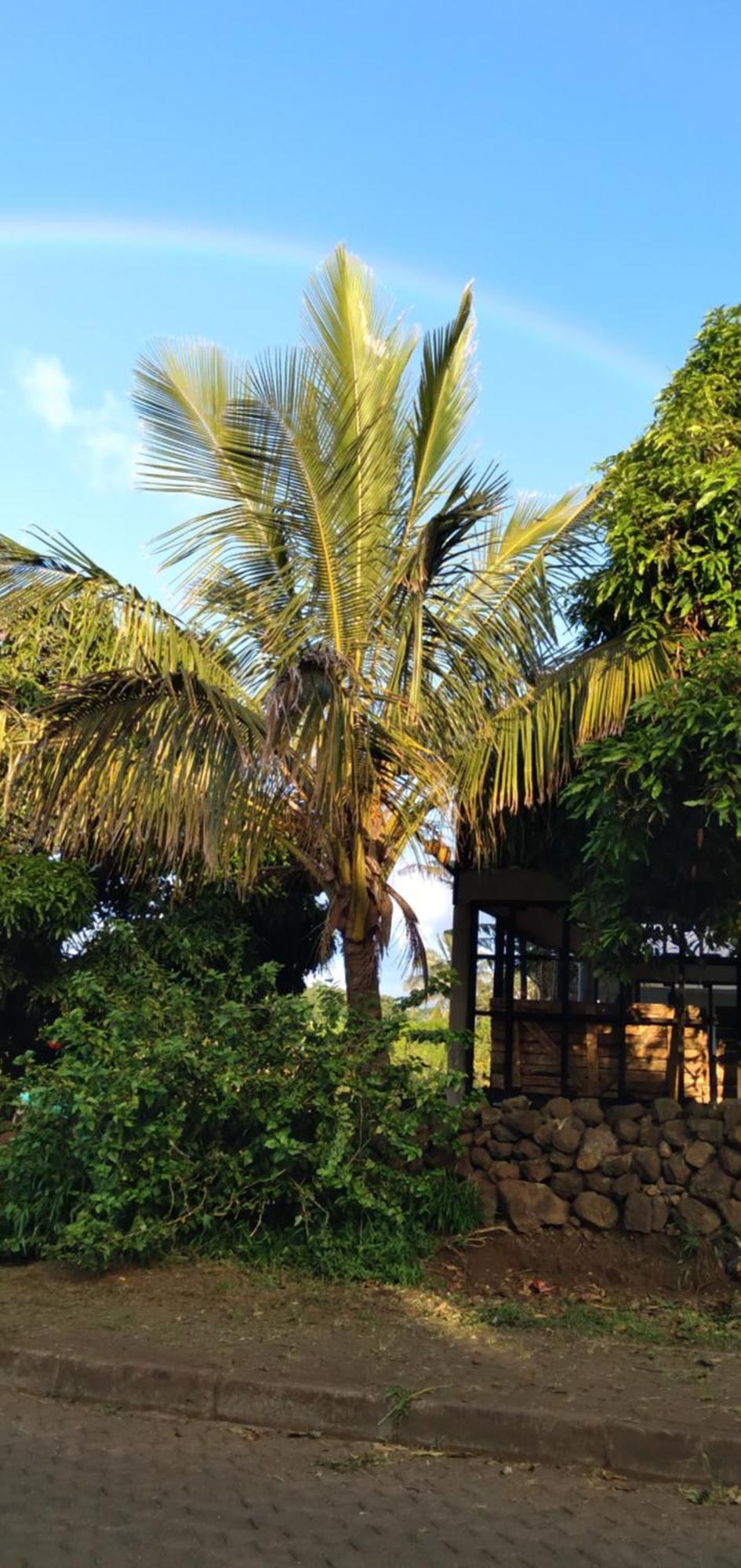 Hostal Tu'U Koihu Hanga Roa Dış mekan fotoğraf